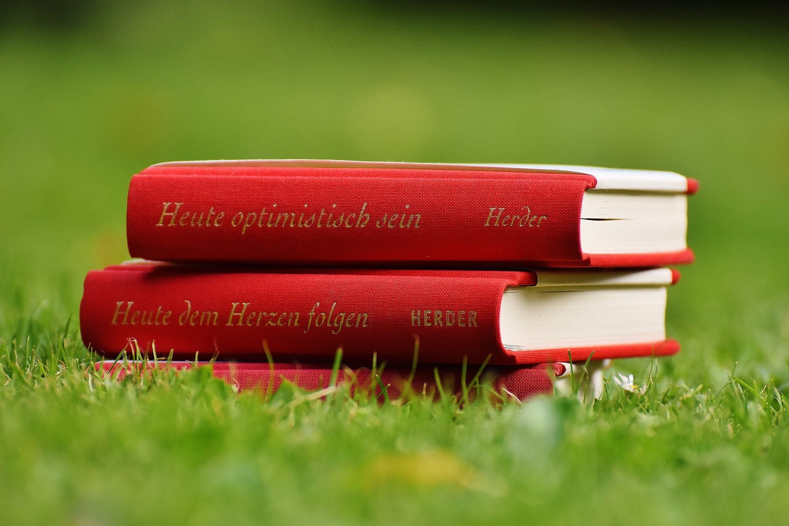 Ropter Bücher von Herder, Foto: pxhere