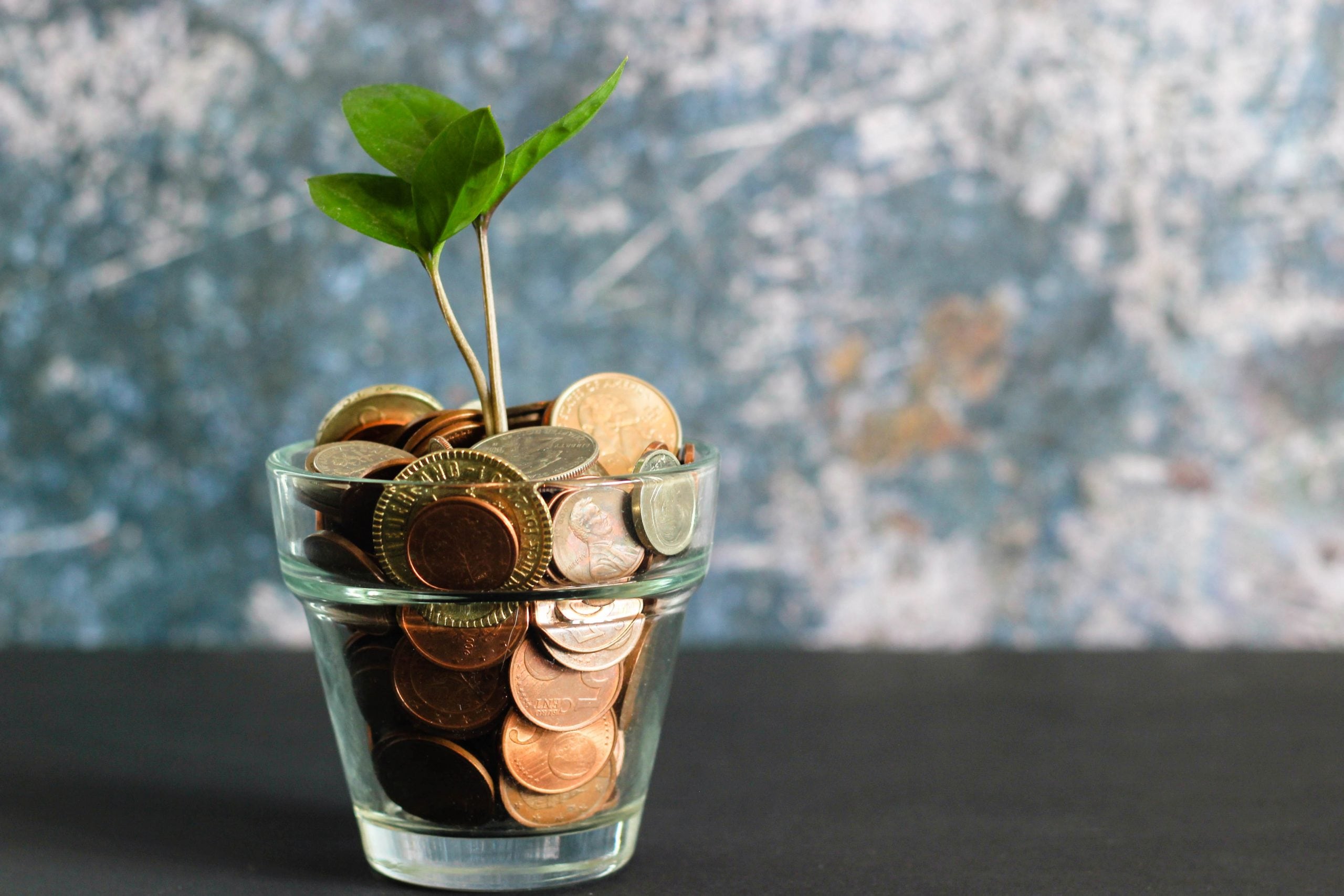 Glas mit Geld aus der Pflänzchen wächst