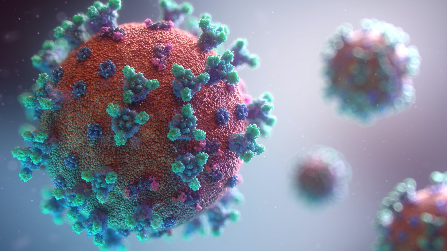 corona virus wirtschaftshilfen